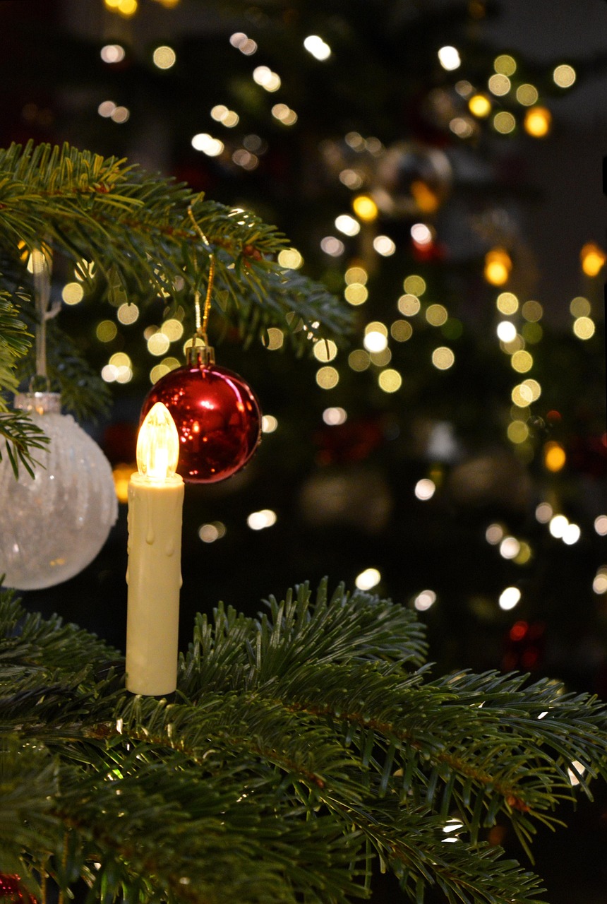 How to Decorate a Elegant Christmas: Festival Decorating Ideas